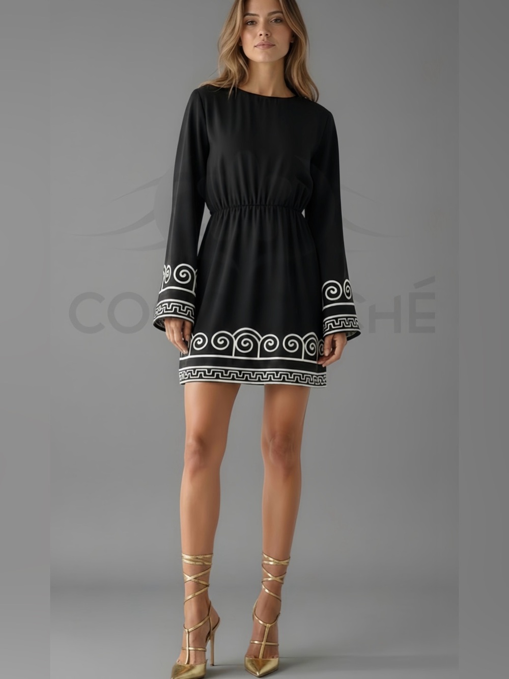 Black Embroidered Mini Dress with White Scroll Trim
